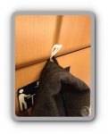 E_Bahn4