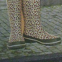 Stiefel